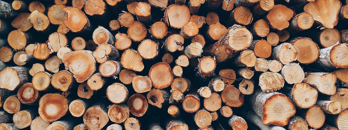 Породы древесины для строительства домов