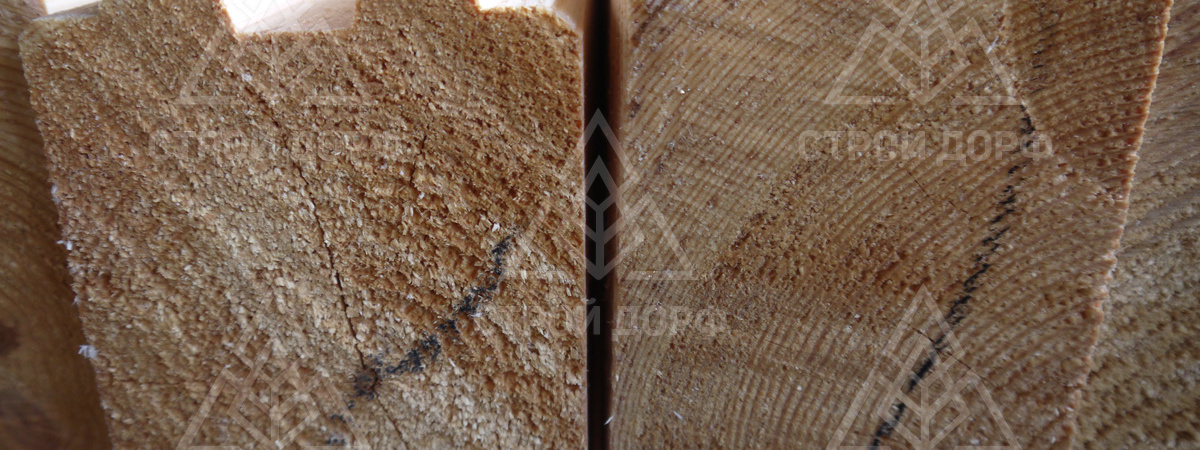 Ель или сосна — из какой древесины лучше строить?